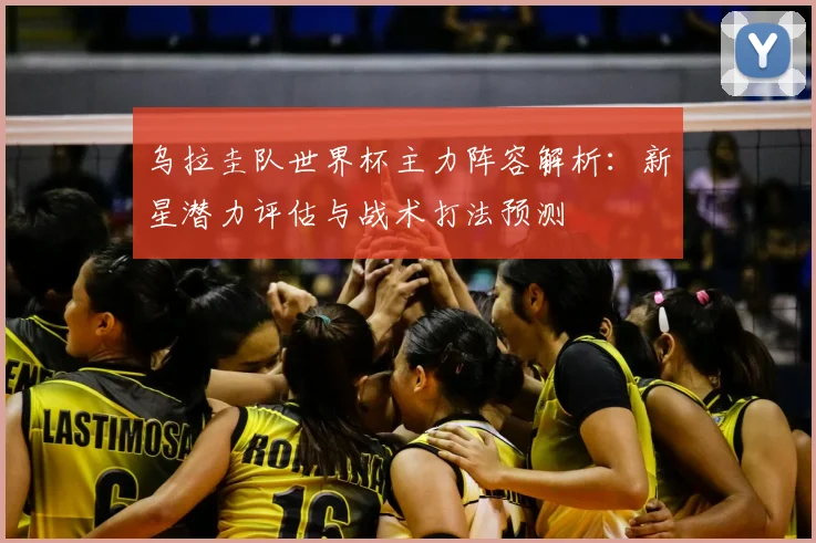 乌拉圭队世界杯主力阵容解析：新星潜力评估与战术打法预测